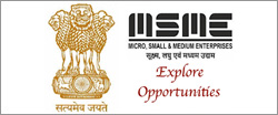 Ministry of Micro, Small and Medium Enterprises