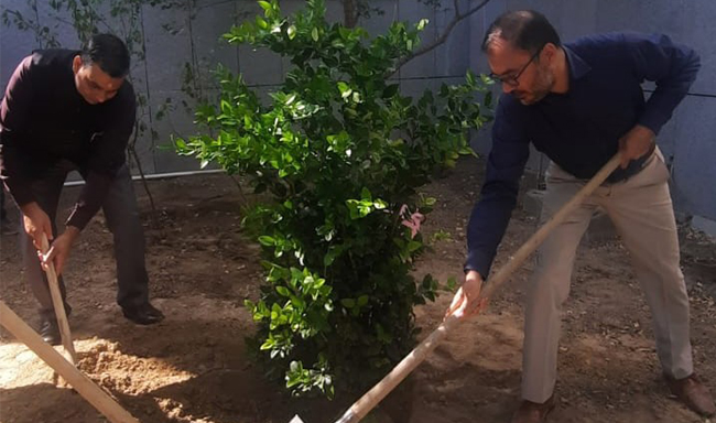 Embassy organized tree plantation campaign at Chancery premises on World Ozone Day (16 September 2025)